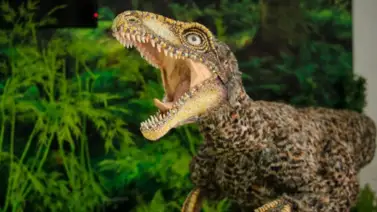 Venezuela tiene su propio dinosaurio: El Tachiraptor Venezuela tiene su propio dinosaurio: El Tachiraptor