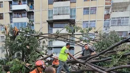 Alcaldía de Caracas atiende destrozos causados por fuertes lluvias