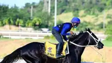 El de Froix va por otra victoria en La Rinconada El de Froix va por otra victoria en La Rinconada