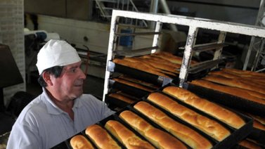 ¿Hay producción de trigo suficiente? Sepa qué dice Fevipan