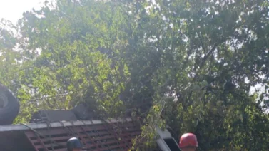 Reportan trágico accidente con camión de hortalizas que iba a Caracas