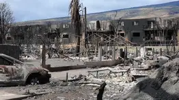 Japón retoma su servicio de transporte tras el paso del ciclón Lan