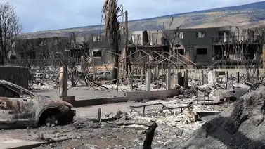 Japón retoma su servicio de transporte tras el paso del ciclón Lan Japón retoma su servicio de transporte tras el paso del ciclón Lan