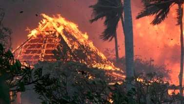 Asciende cifra de fallecidos por catástrofe forestal en Hawái