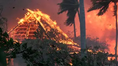 Asciende cifra de fallecidos por catástrofe forestal en Hawái Asciende cifra de fallecidos por catástrofe forestal en Hawái