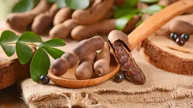 Conoce qué le aporta el tamarindo a tu organismo Conoce qué le aporta el tamarindo a tu organismo