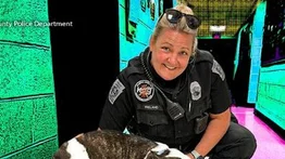 ¡Desalmada! Una mujer abandonó a su perrito en pleno aeropuerto