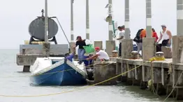 ¿Por qué?: Ordenan expulsar a 98 migrantes venezolanos