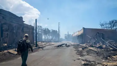 Sube la cifra de muertos por incendios forestales en Maui Sube la cifra de muertos por incendios forestales en Maui