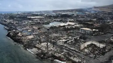 Perros buscan los cadáveres de centenares de desaparecidos por el fuego en Hawái Perros buscan los cadáveres de centenares de desaparecidos por el fuego en Hawái