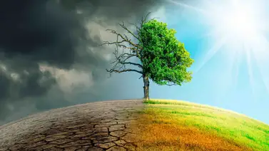 Los desafíos humanos Los desafíos humanos