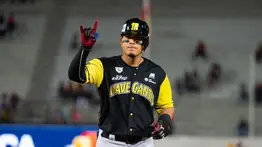 ¡Aunque usted no lo crea! Romer Cuadrado baja desde los jardines y jugará en tercera