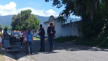 ¡Trágico! Niño de tres años muere aplastado por la rama de un árbol