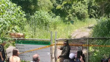 Develan lo que hicieron vecinos para evitar la tala del bosque de La Alameda
