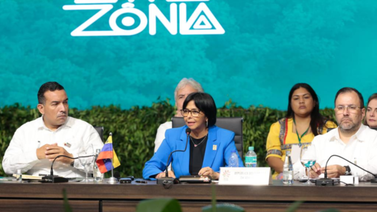 Estas fueron las propuestas del gobierno venezolano en la Cumbre de la Amazonía