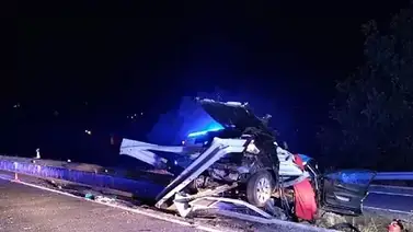 ¡Lamentable! jóvenes perdieron la vida en un accidente vial causado por un jabalí ¡Lamentable! jóvenes perdieron la vida en un accidente vial causado por un jabalí