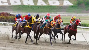 La Rinconada: Conoce los inscritos para este domingo en la Reunión 31 La Rinconada: Conoce los inscritos para este domingo en la Reunión 31