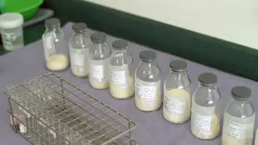 Impresionante como trasladan la leche materna a estas zonas remotas (+Video) Impresionante como trasladan la leche materna a estas zonas remotas (+Video)