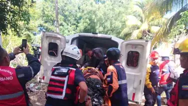 ¡Inesperado! Recibió una fuerte descarga eléctrica mientras tumbaba aguacates ¡Inesperado! Recibió una fuerte descarga eléctrica mientras tumbaba aguacates
