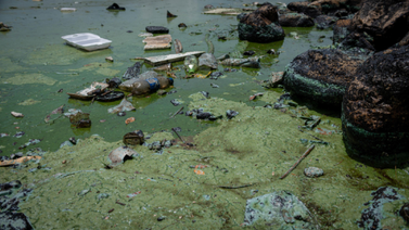 Trazan plan para la descontaminación del Lago de Maracaibo
