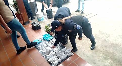Incautan droga oculta en envases de cremas corporales Incautan droga oculta en envases de cremas corporales