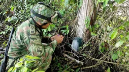 Destruyen artefacto explosivo encontrado cerca de una escuela