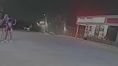 Madre usa a su hija como escudo humano para evitar ser detenida Madre usa a su hija como escudo humano para evitar ser detenida