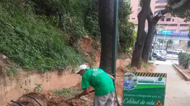 Desmalezamiento y retiro de sedimentos en Baruta Desmalezamiento y retiro de sedimentos en Baruta