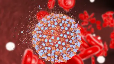 Conoce el nuevo servicio del laboratorio clínico de la UCV Conoce el nuevo servicio del laboratorio clínico de la UCV