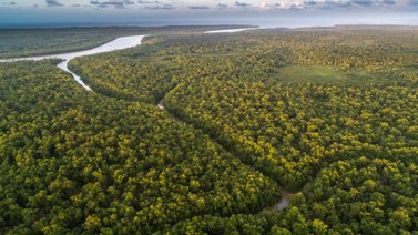 ALERTA: Sismo de amplia magnitud sacude al Amazonas