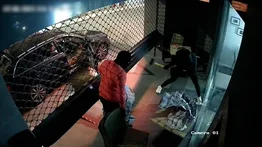 ¡Atentos! Desmantelan banda criminal que destrozaba comercios para hurtar