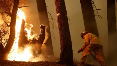 Continúan los incendios en ocho regiones de Argelia (+Detalles) Continúan los incendios en ocho regiones de Argelia (+Detalles)