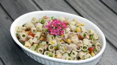 Comida fácil de preparar para llevar a un picnic Comida fácil de preparar para llevar a un picnic
