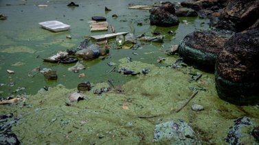 ATENCIÓN: Nicolás Maduro anuncia plan para descontaminar el Lago de Maracaibo