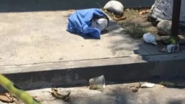 ¡Horrible! Así encontraron los restos de un bebé entre la basura