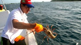 Sepa qué es Insopesca y cómo tramitar un permiso para actividades pesqueras