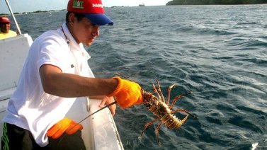 Sepa qué es Insopesca y cómo tramitar un permiso para actividades pesqueras