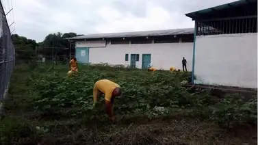 Varios presos se fugaron de un centro penitenciario este 20Jul Varios presos se fugaron de un centro penitenciario este 20Jul