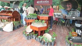 Visita multitudinaria: Acudieron en masa al II Encuentro Internacional del Café con Especialidad Venezolana 2023