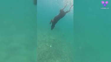De perra miedosa a buceadora de aguas profundas (+Video)