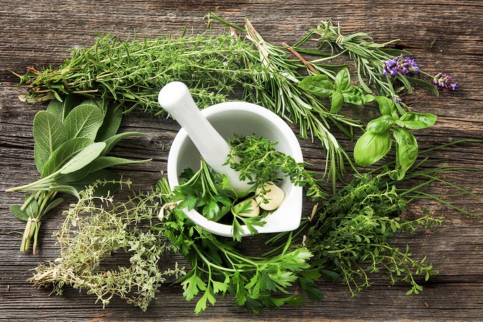 Cómo guardar las hierbas aromáticas Cómo guardar las hierbas aromáticas