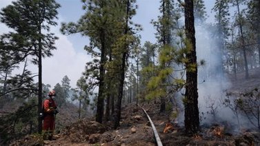 Incendio forestal afecta parte del Parque Nacional