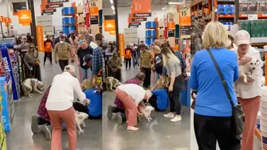 Pelea de perros generó angustia en tienda pet friendly (+Video) Pelea de perros generó angustia en tienda pet friendly (+Video)