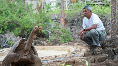 ¡Merecido homenaje! Esto harán con «Solitario George», la última tortuga Galápagos de su tipo
