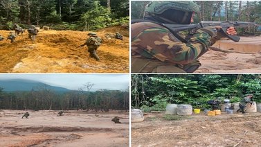 Destruyen 30 infraestructuras pertenecientes a grupos criminales