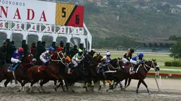 La reunión 27 en el hipódromo La Rinconada ya tiene inscritos, aquí te los mostramos