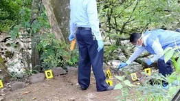 Hallan cuatro cadáveres con múltiples disparos (+Detalles)