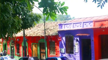 El Hatillo exonera de pagar impuestos a esta actividad económica