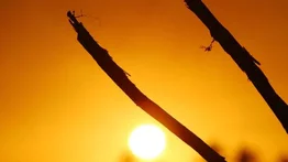 Prepárese y tome previsiones: Vienen temperaturas más altas
