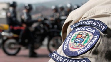 Mató a su gato y amenazó a su pareja: Este fue el motivo
